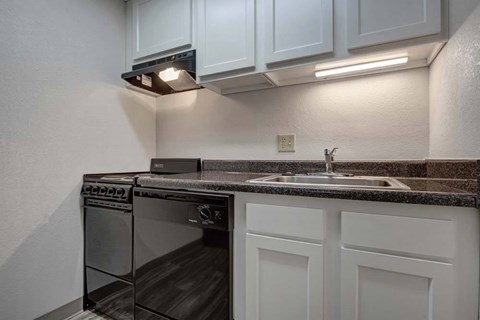 A modern kitchen with a black dishwasher and a black oven under a white cabinet.
