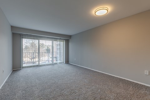 A room with a carpeted floor and a sliding glass door leading outside.