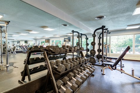 A gym with a variety of equipment including dumbbells, weight plates, and a bench press.