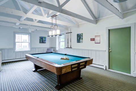 A pool table in a room with a green door.