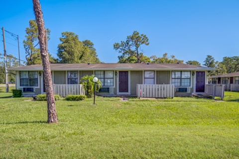A row of houses with a tree in front of the first one.
