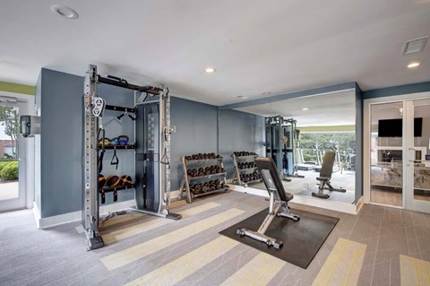 A home gym with a squat rack, bench, and weights.