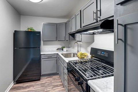 A kitchen with a black fridge, black stove, and black cabinets.