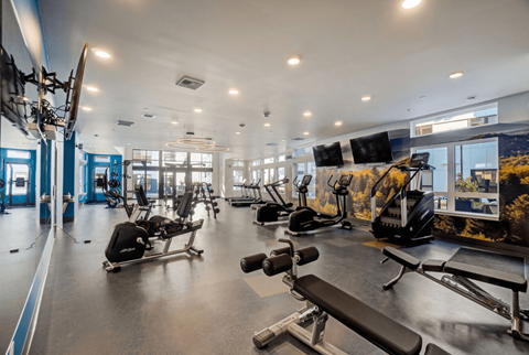 A gym with a variety of equipment including treadmills, weights, and exercise machines.