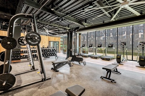 A gym with a variety of equipment including a squat rack, bench, and weights.