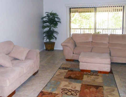 A living room with a couch, chair, and potted plant.