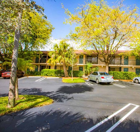 A parking lot with a building in the background and a tree with yellow leaves.