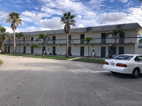 A white car is parked in a parking lot in front of a building with palm trees.