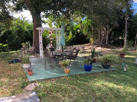 A patio with a table and chairs surrounded by greenery.