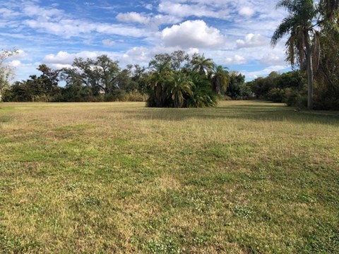 A field with patches of green and brown grass under a blue sky with clouds.
