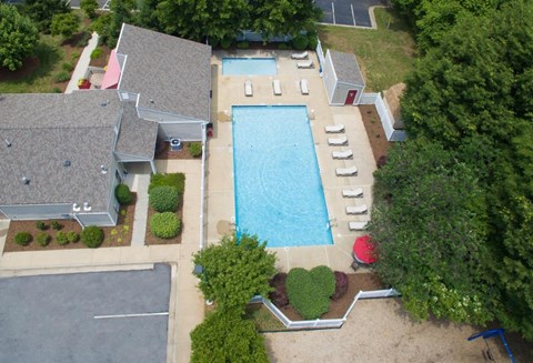 A swimming pool surrounded by a small garden and a house.