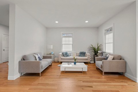 A living room with a grey sofa, a white coffee table, and a potted plant.