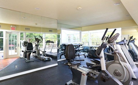 A gym with treadmills, exercise bikes and elliptical machines.