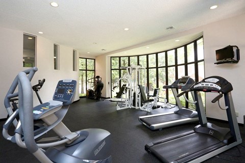 A gym with treadmills and elliptical machines.