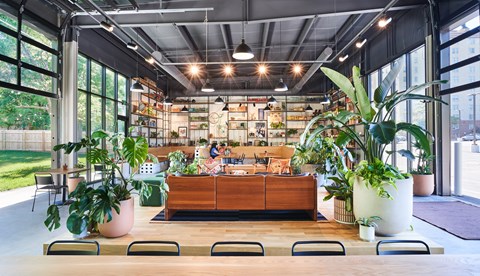 A modern office space with a long wooden table and chairs, and a woman working at a desk in the background.