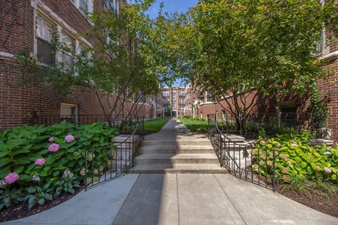 A pathway between two rows of trees and plants.