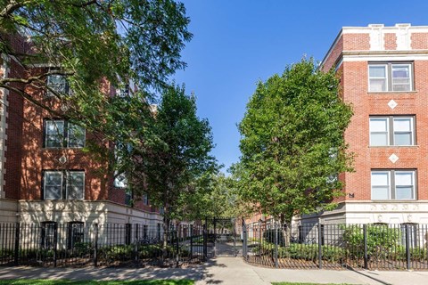 A tree-lined street with a brick building on the right.