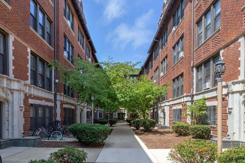 A tree-lined walkway between two red brick buildings.