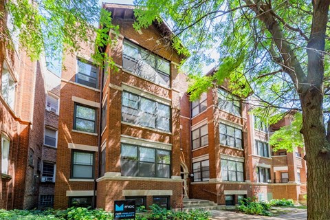 A tall red brick building with a tree in front.
