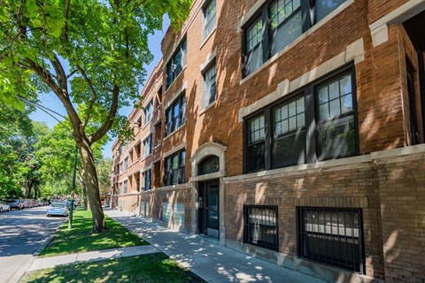 A tree is in front of a brick building.