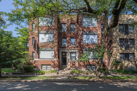 A large tree in front of a brick building.