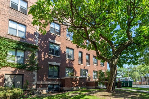A tree in front of a red brick building with windows.