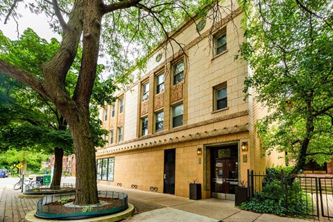 A tree in a planter in front of a building.