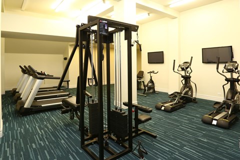 A gym with a row of treadmills and a row of stationary bikes.