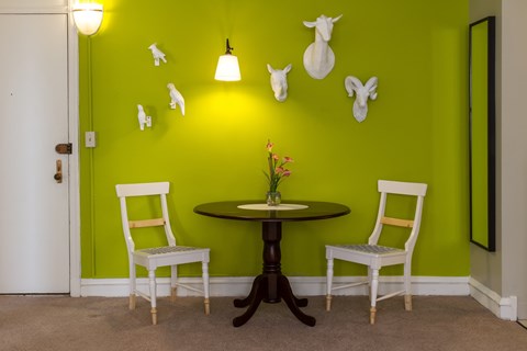 A green wall with white chairs and cow head decorations.