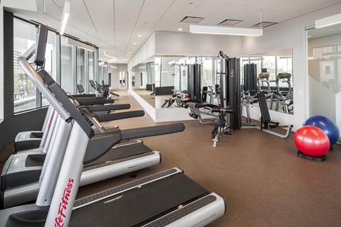 A gym with treadmills, weights, and exercise balls.