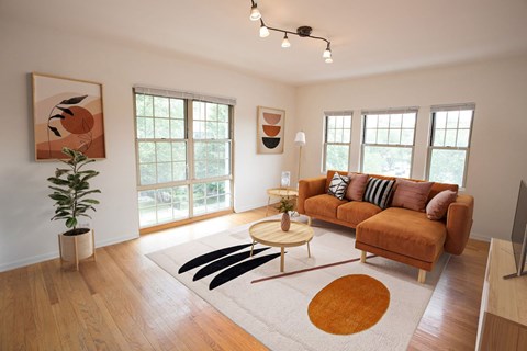 A living room with a brown couch, a coffee table, and a rug.