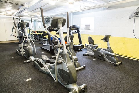 A row of elliptical machines are lined up in a gym.