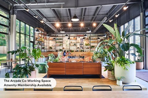 A modern workspace with a long wooden table and chairs, and a variety of plants.