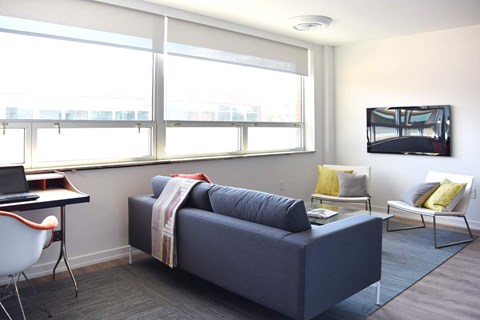 A blue couch with a blanket on it sits in a living room with a television and a desk with a laptop.