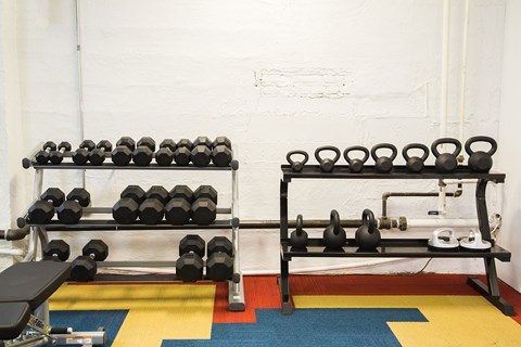 A set of dumbbells and kettlebells are arranged on a rack in a gym.