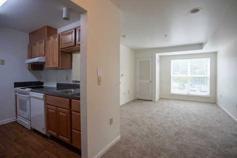 A kitchen with wooden cabinets and a window.