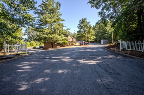 A street with a white fence and trees on both sides.
