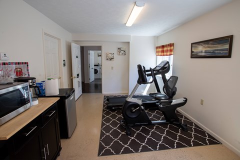 A black and white patterned rug sits in front of a treadmill in a well-lit room.
