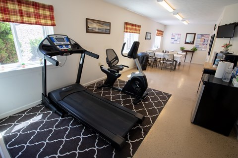 A treadmill and exercise bike in a room with a patterned carpet.