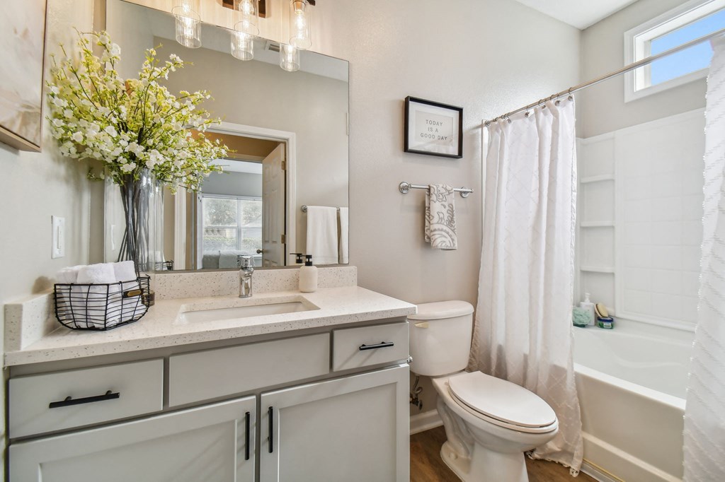 a bathroom with a toilet and a sink and a mirror
