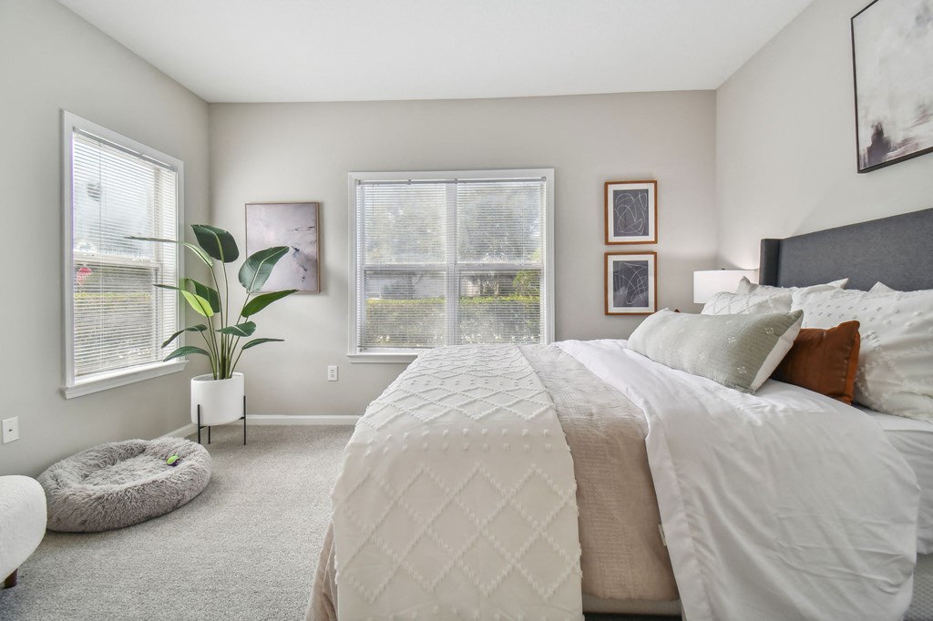 a bedroom with a large bed and two windows