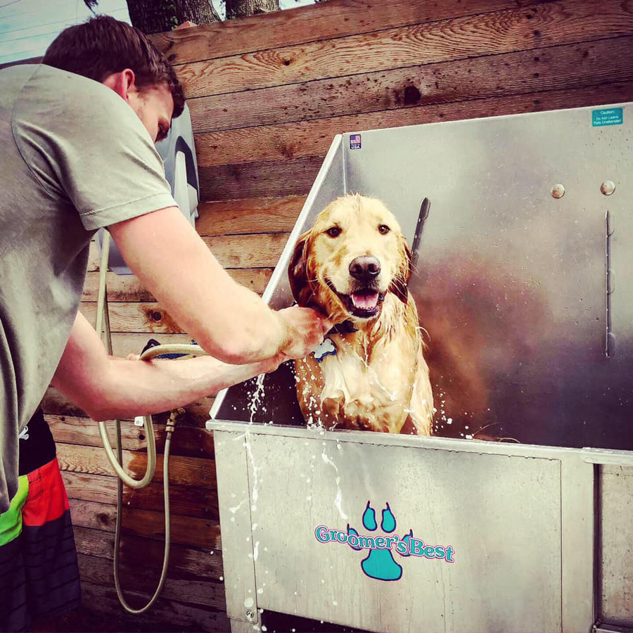 Dog Care Center at The Ellis, Savannah, 31404