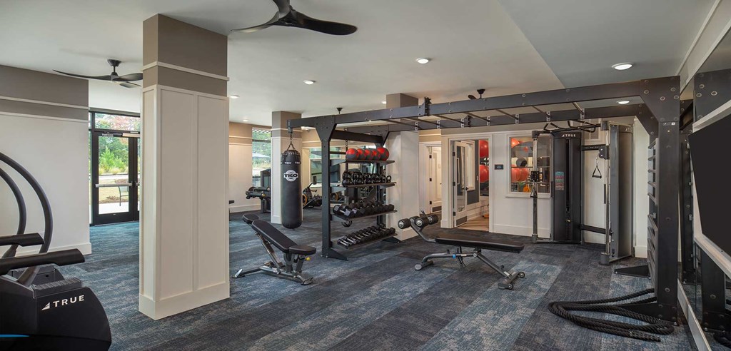 Fitness Center With Modern Equipment at The Corwyn South Point, McDonough