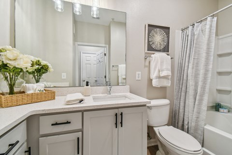 a bathroom with a sink toilet and a mirror