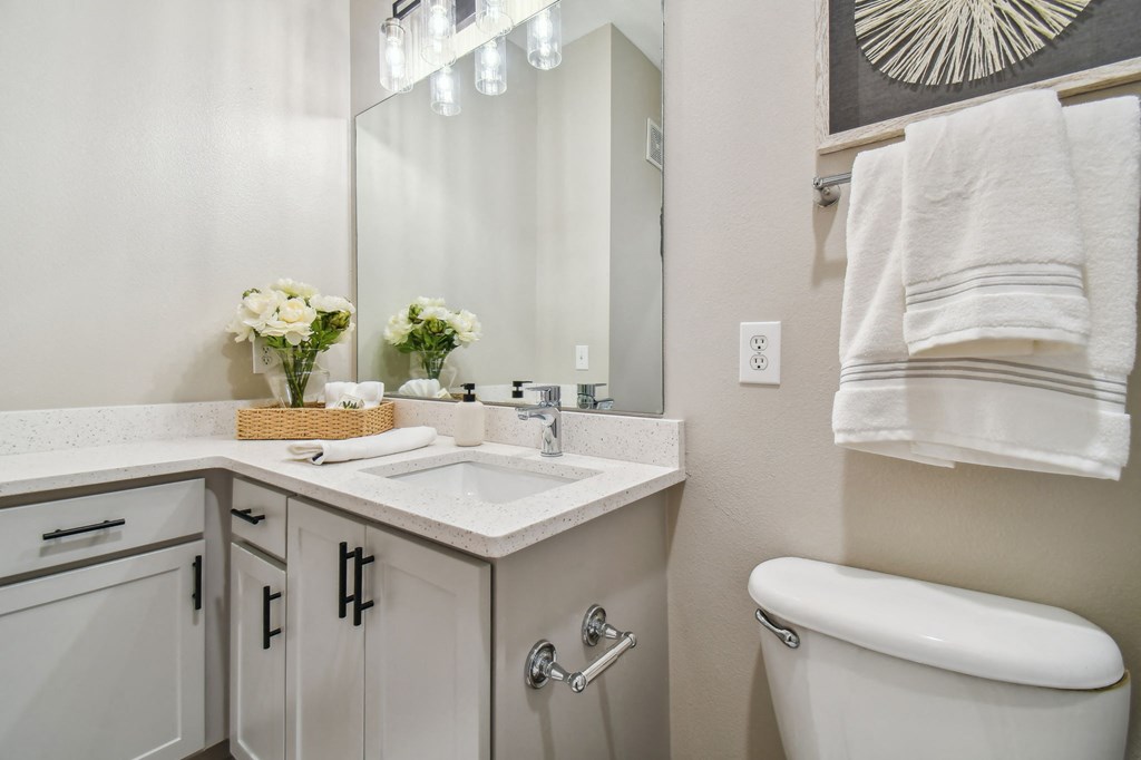 a bathroom with a toilet and a sink and a mirror