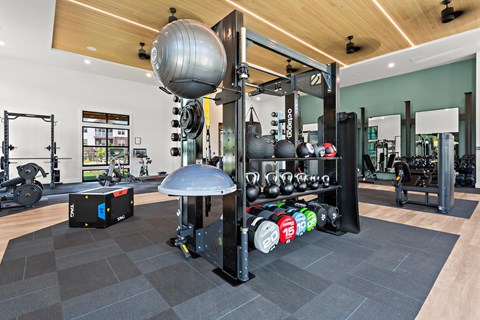 A gym with a variety of equipment including a weight rack and a squat rack.