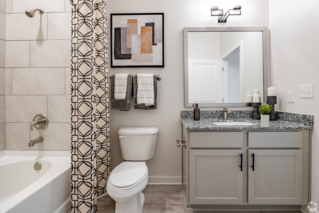 Bathroom Model at The Corwyn South Point, McDonough, 30253