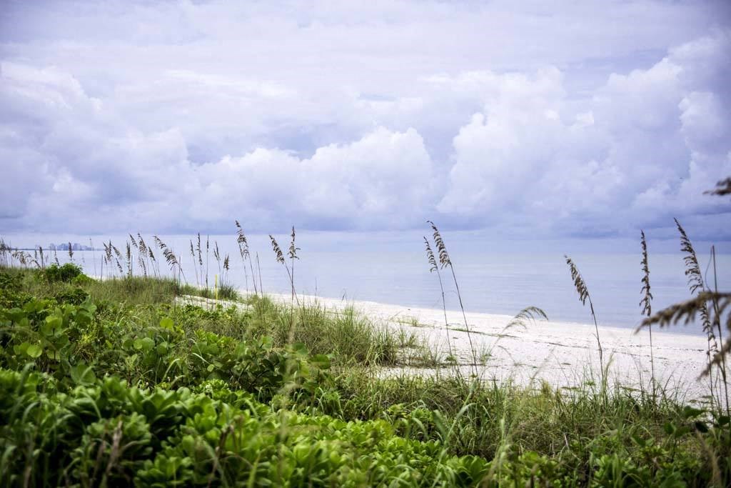 Beach View at Waterline Bonita Springs, Bonita Springs, 34135
