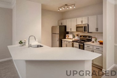 4330 Point Cypress Boulevard 1-3 Beds Apartment for Rent - Photo Gallery 4