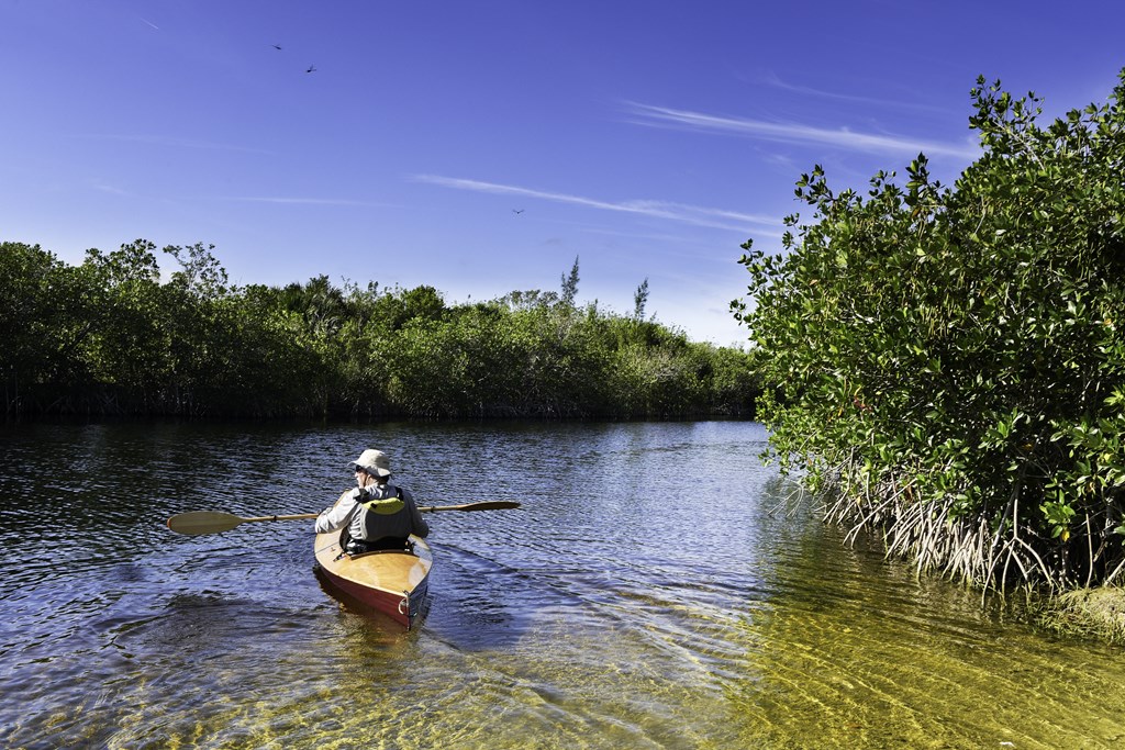 Kayak In Lake at Waterline Bonita Springs, Bonita Springs, Florida